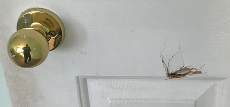interior door hole repair Watsonville